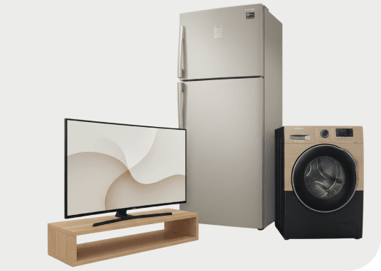 Television, refrigerator, and washing machine