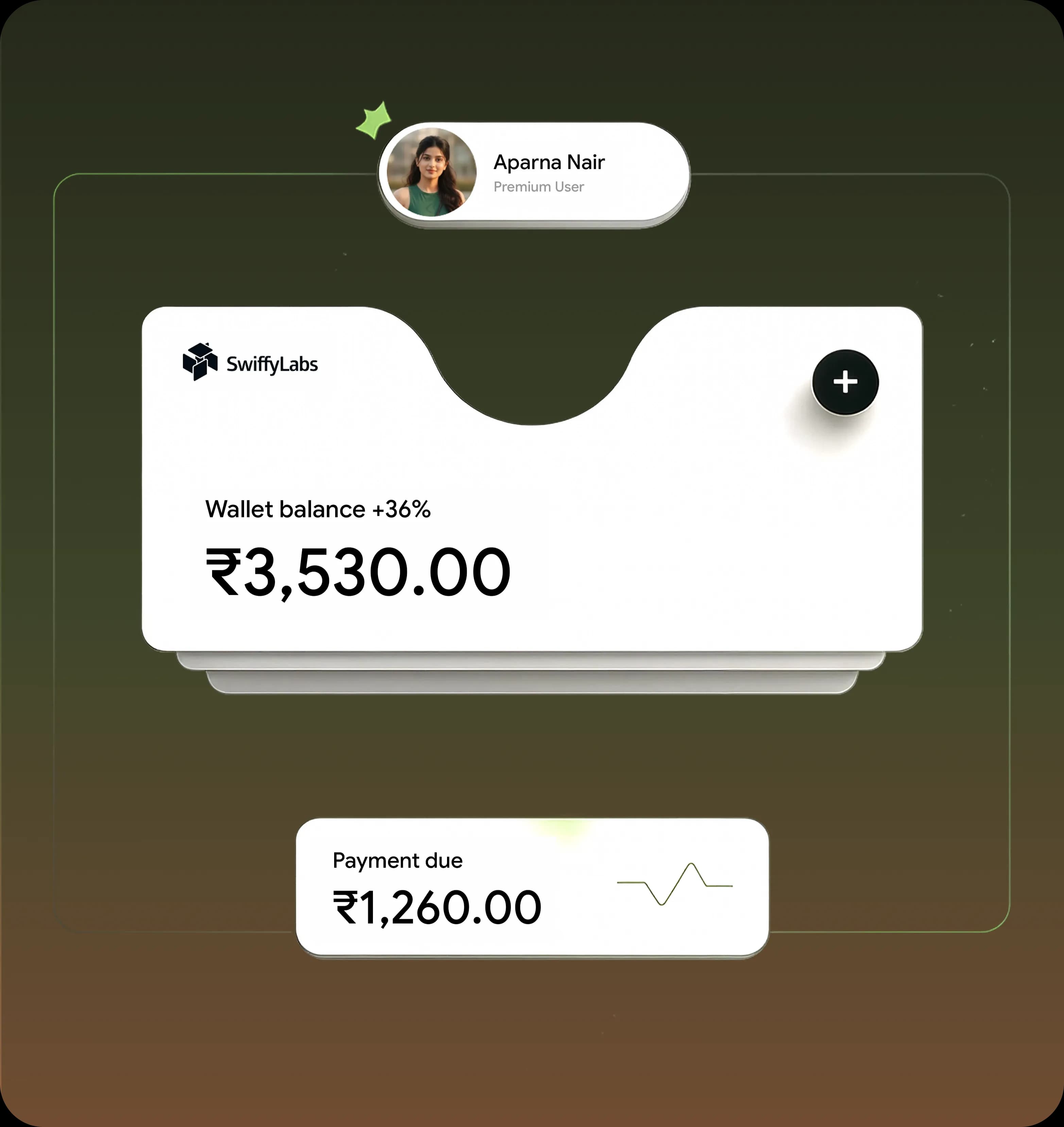 Payment app interface showing wallet balance and transaction details